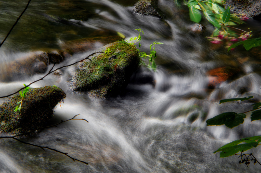 II von dirk derbaum auf 500px.com
