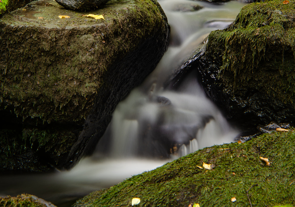 III von dirk derbaum auf 500px.com
