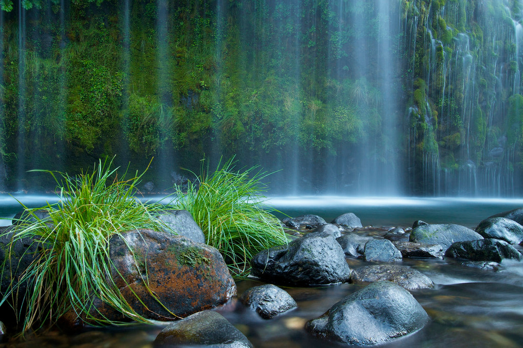 v2?sig=7333cd91eae2da85d080965bd123c2c8438e506804ac27ba094df8bf6df181dc