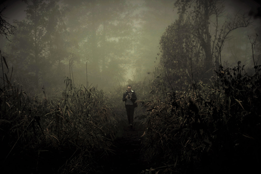 on the trail through the mist, автор — moonsun  на 500px.com