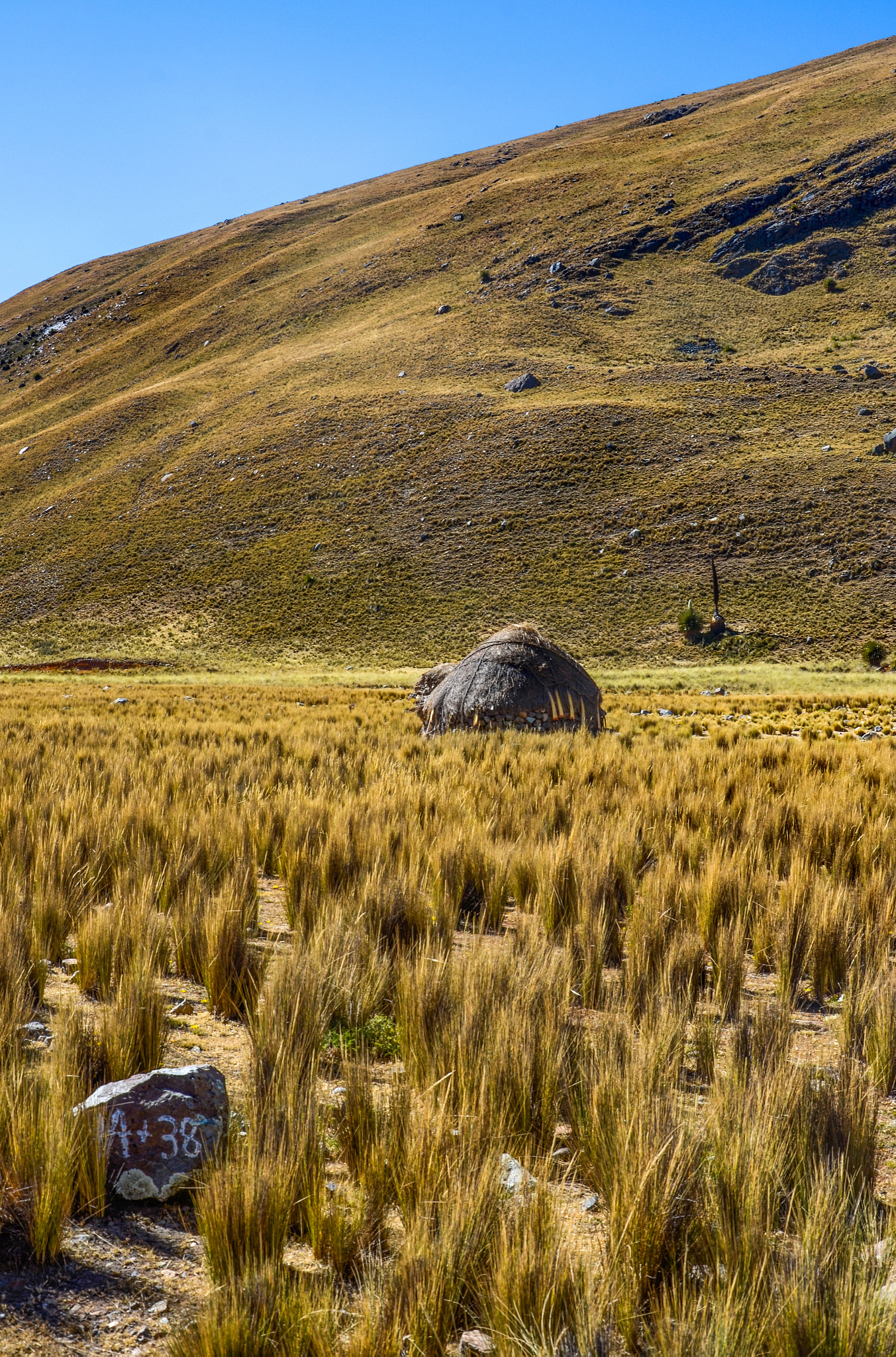 v2?sig=94c9757c207f78b323ca15ddd553ee16ef39396b2968436d1d4fe5f32cfcd9bf