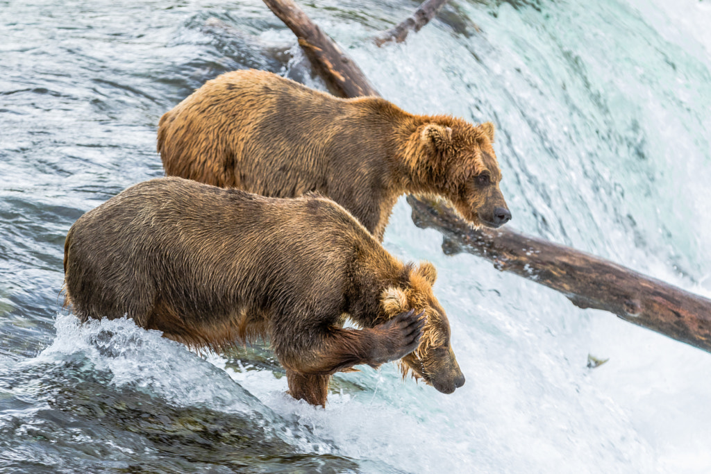 On cheek by Claus Cramer on 500px.com