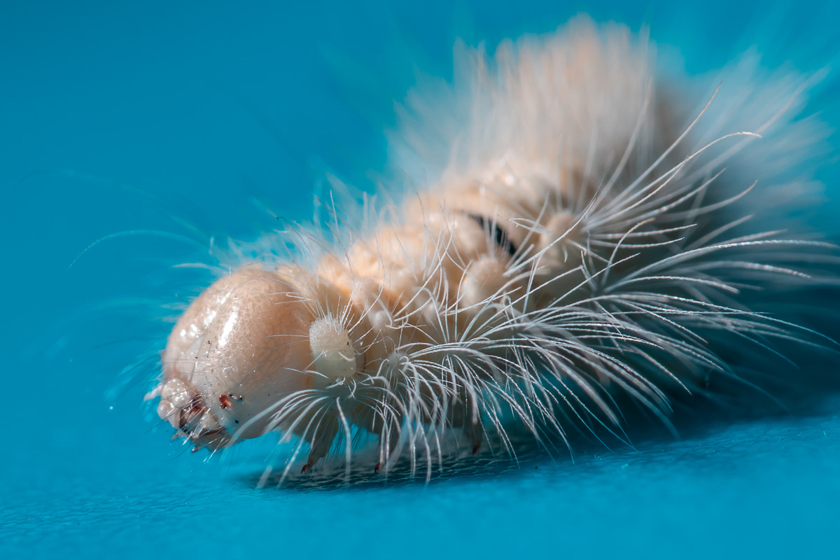 v2?sig=ab5af7c679a9a9168078299ac81307e4f0a7a6ada4bfe2a753cda0a7702d67ce