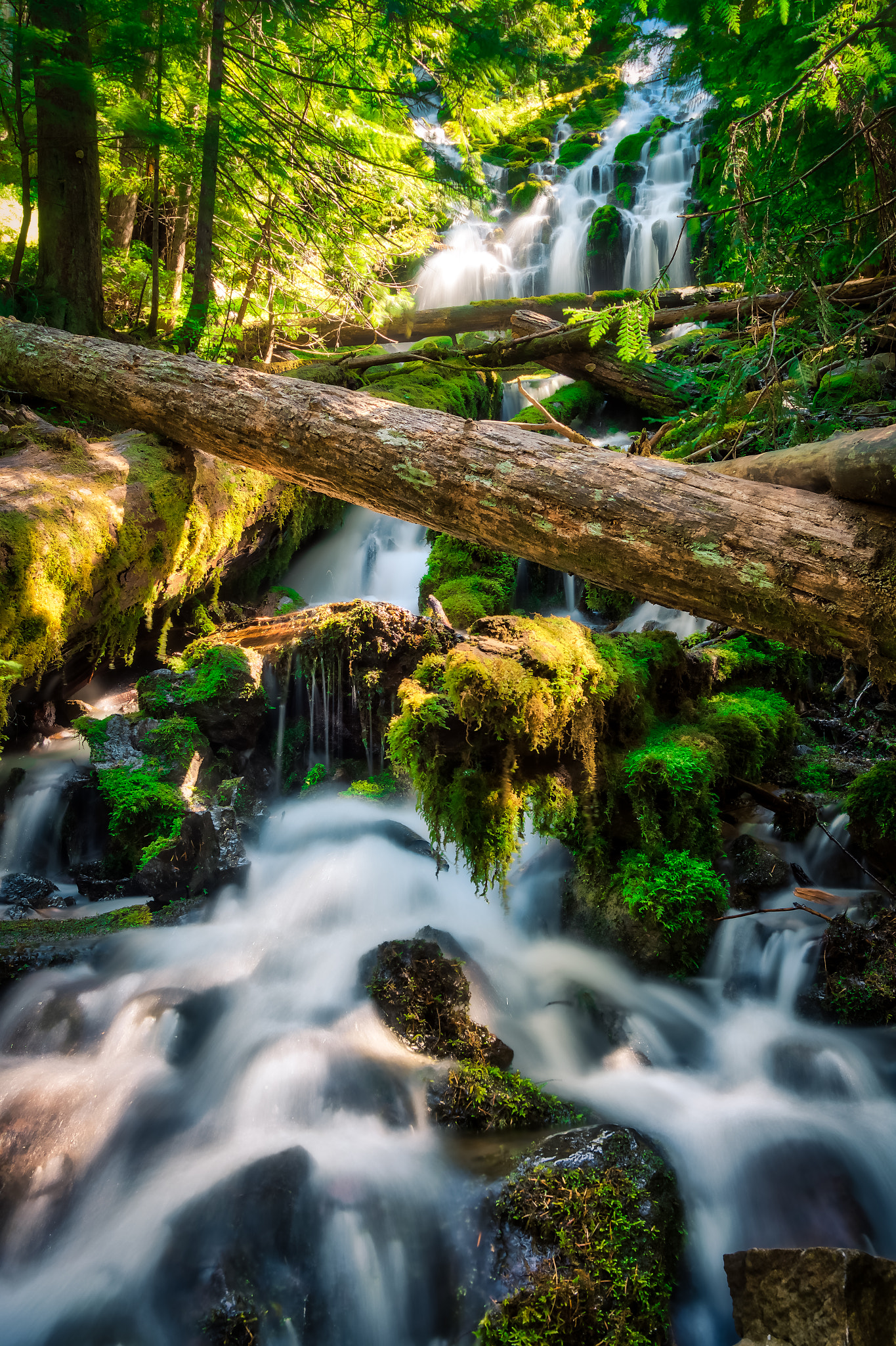 Cascades of Upper Proxy Falls