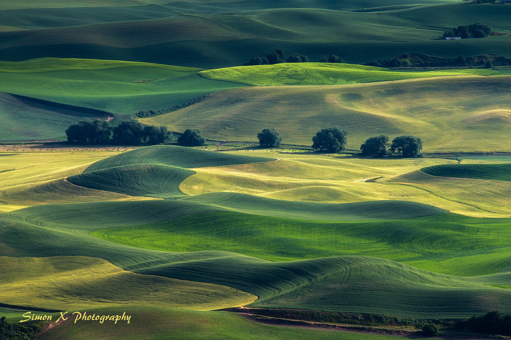 Rolling Wave II by Simon W Xu on 500px.com