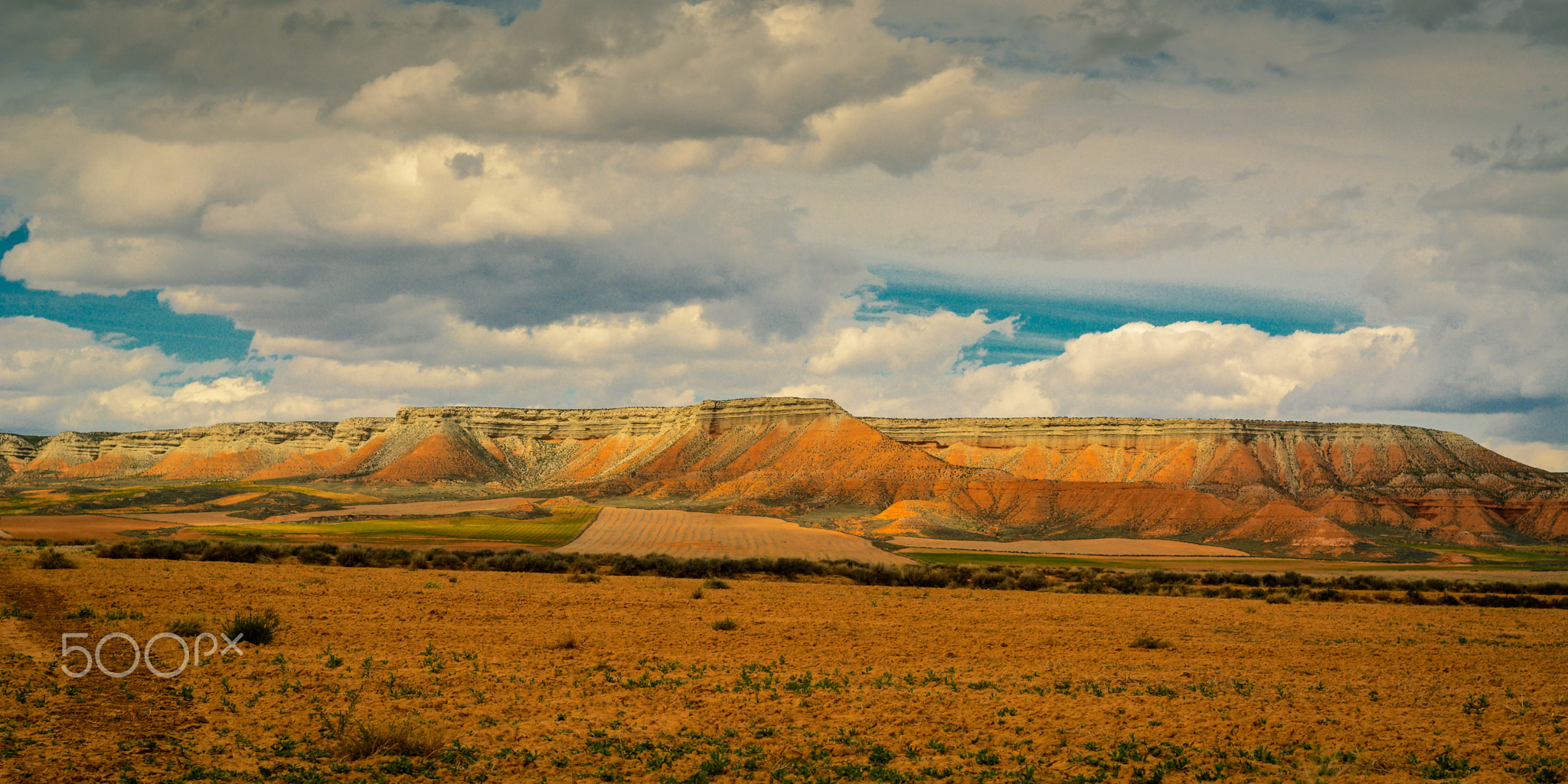 The law of the desert