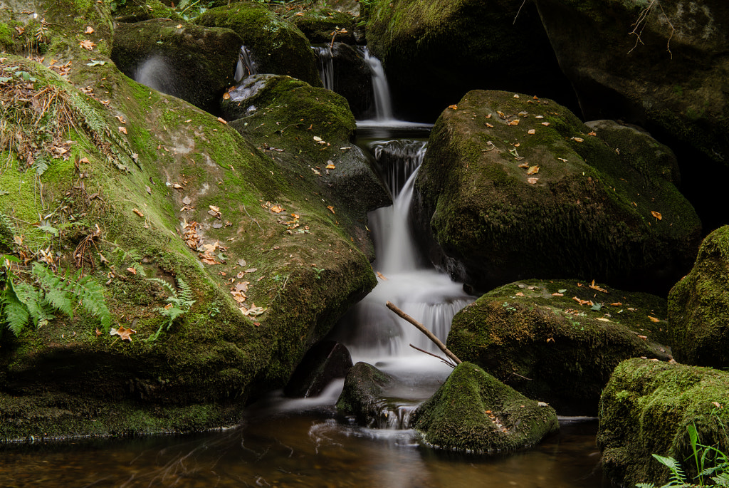 downstream I von dirk derbaum auf 500px.com