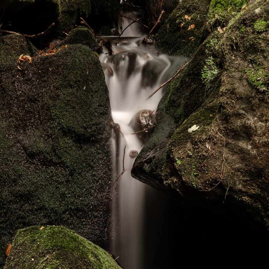 downstreamII von dirk derbaum auf 500px.com