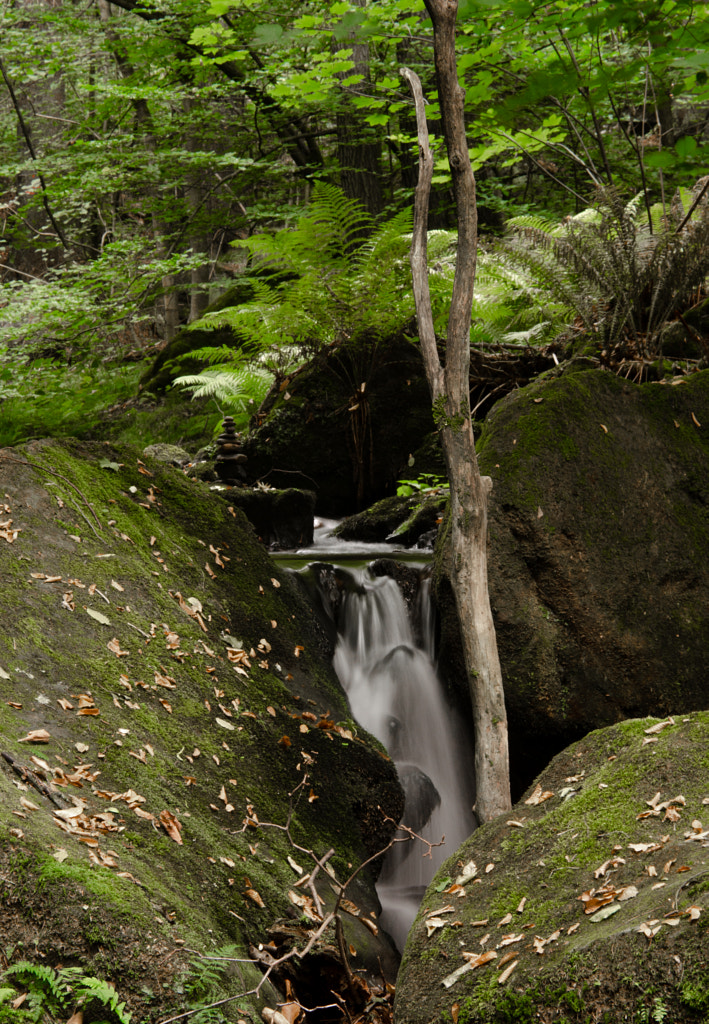 downstreamIII von dirk derbaum auf 500px.com