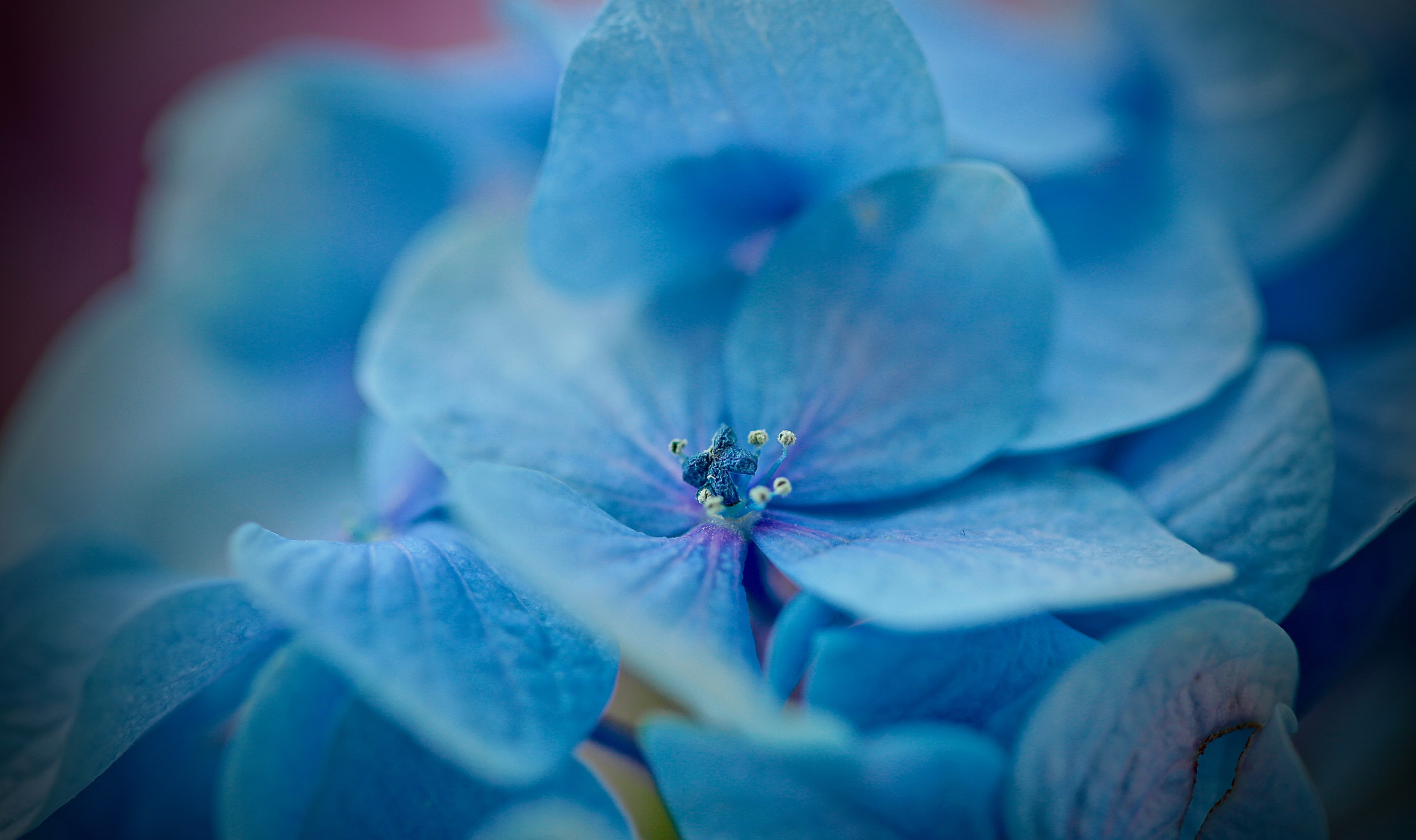 v2?sig=0e5279f5e2f92272f559fa25d134dbe1d285540b6c64dc02c8d1a695f2f1432d