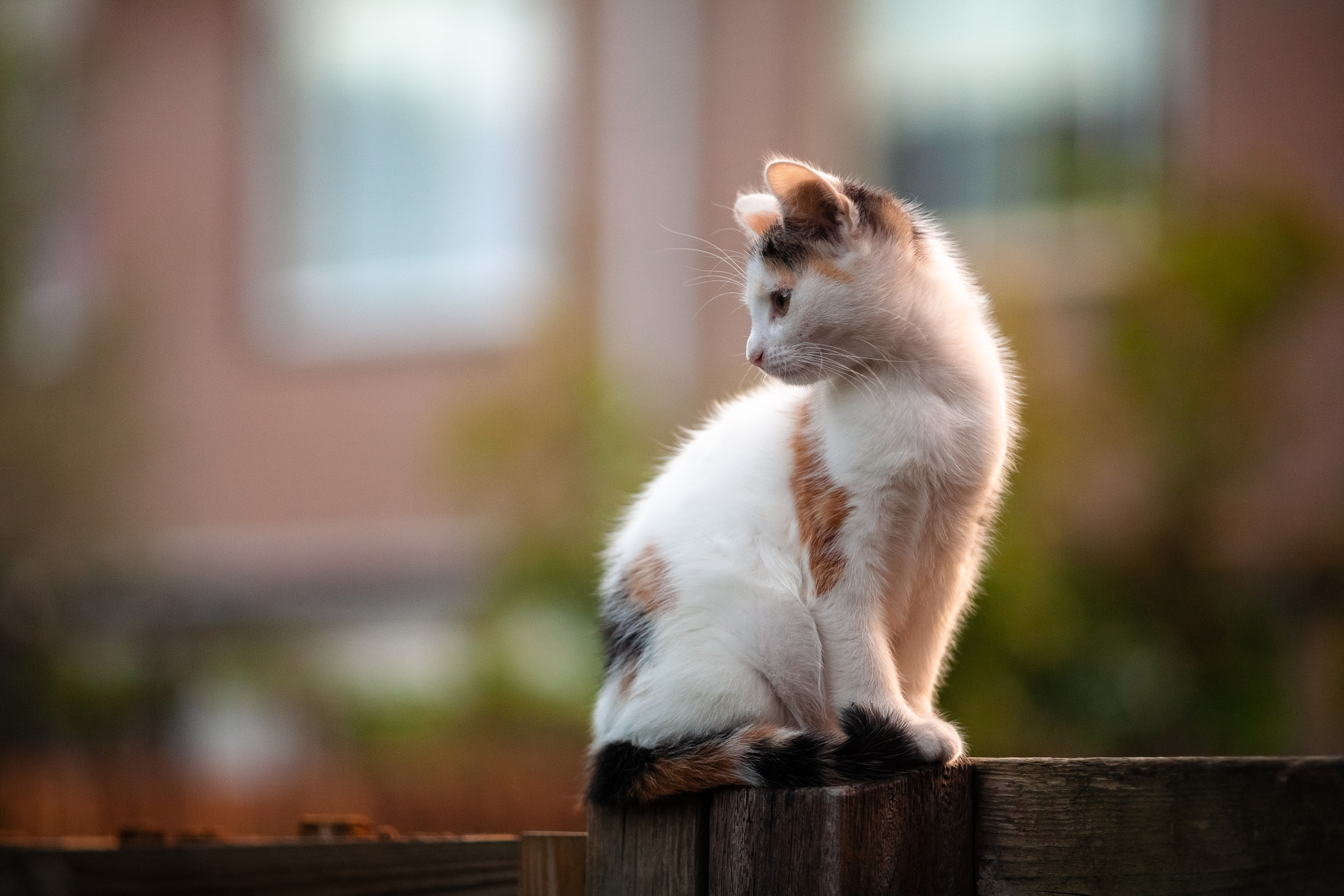 v2?sig=4a73460bc0108a32ee4005613272c550aaa2f14e8cc9d161793d70d027ca80f7