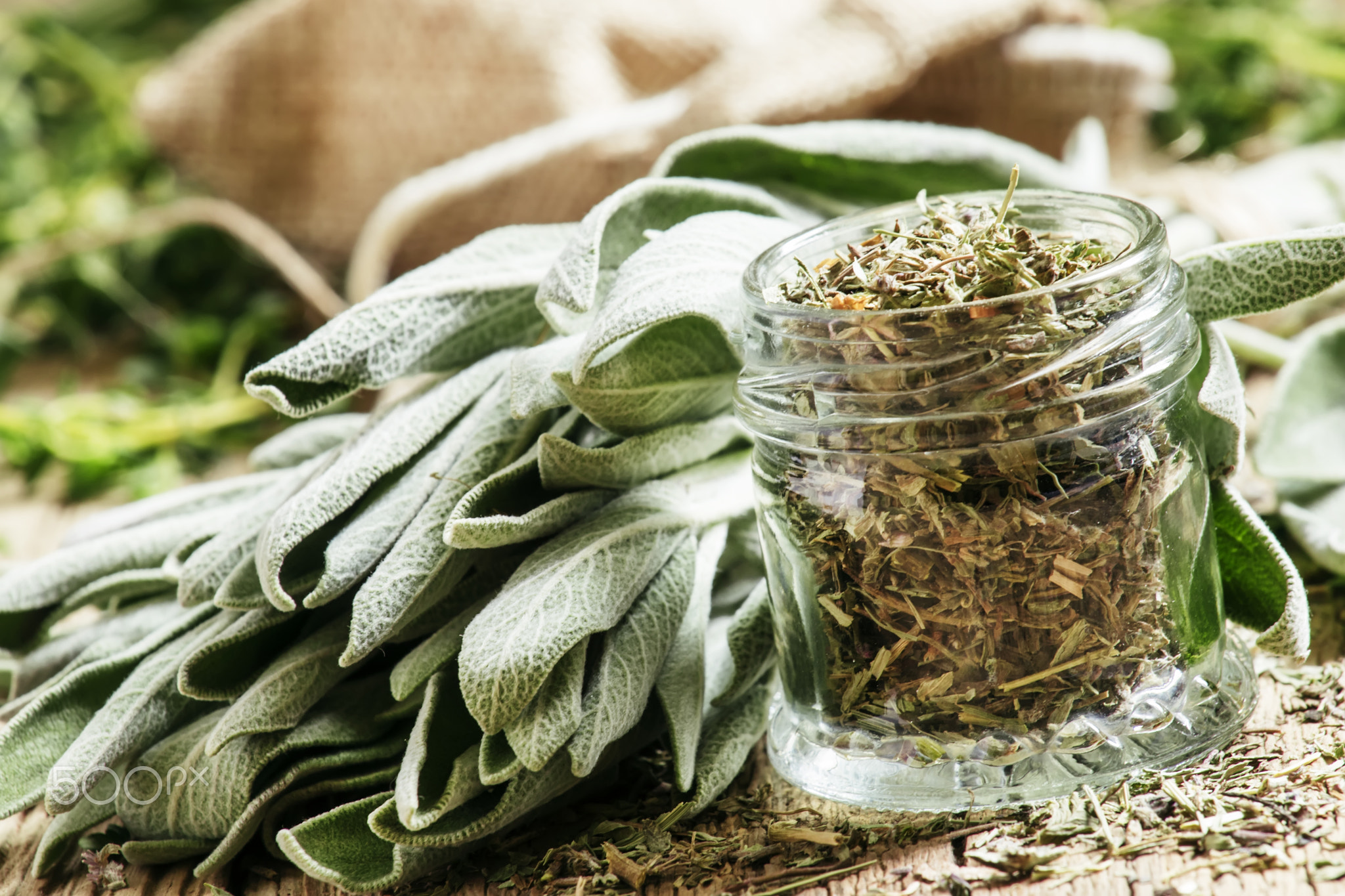 Dried sage in a glass jar, fresh sage on the vintage wooden tabl