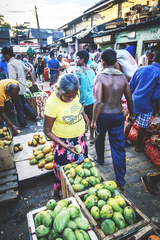 Choosing Mangoes by Son of the Morning Light on 500px.com