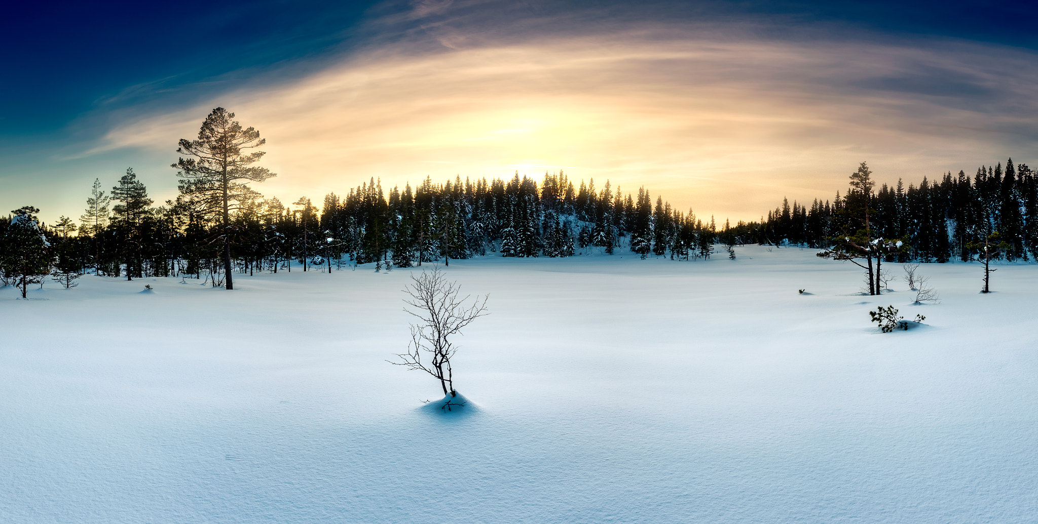 v2?sig=cd4f8546cc8ee7f9eec85b6803342555e6157c106ebe3e7018a67844ca0bd561