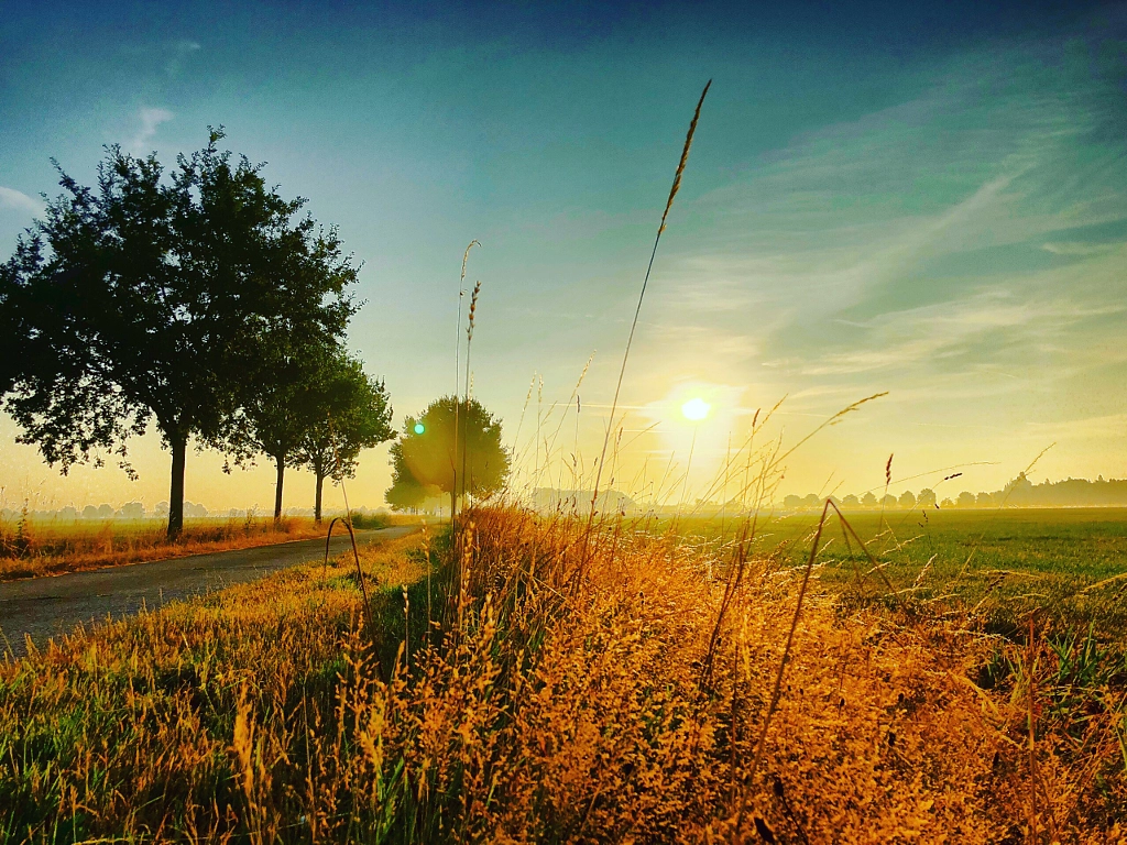Farmfield sunrise  by Bjorn Beheydt on 500px.com