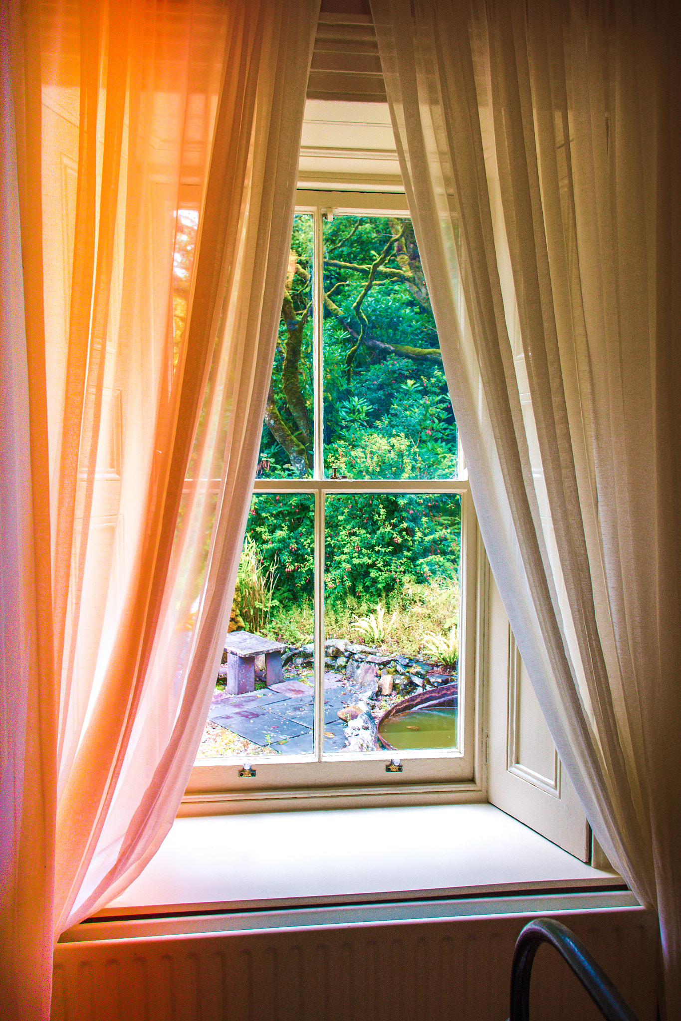 Window with curtains