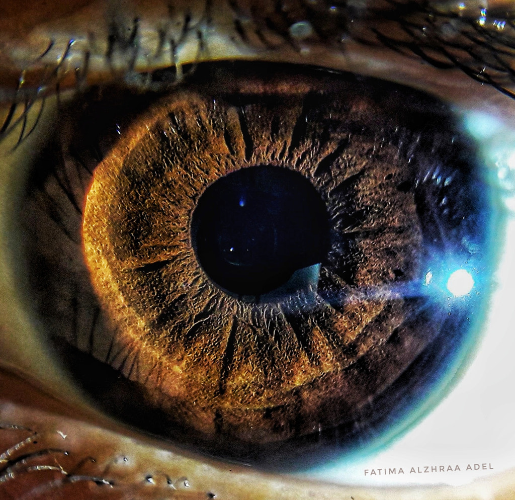 Untitled by Fatima Alzhraa Adel on 500px.com
