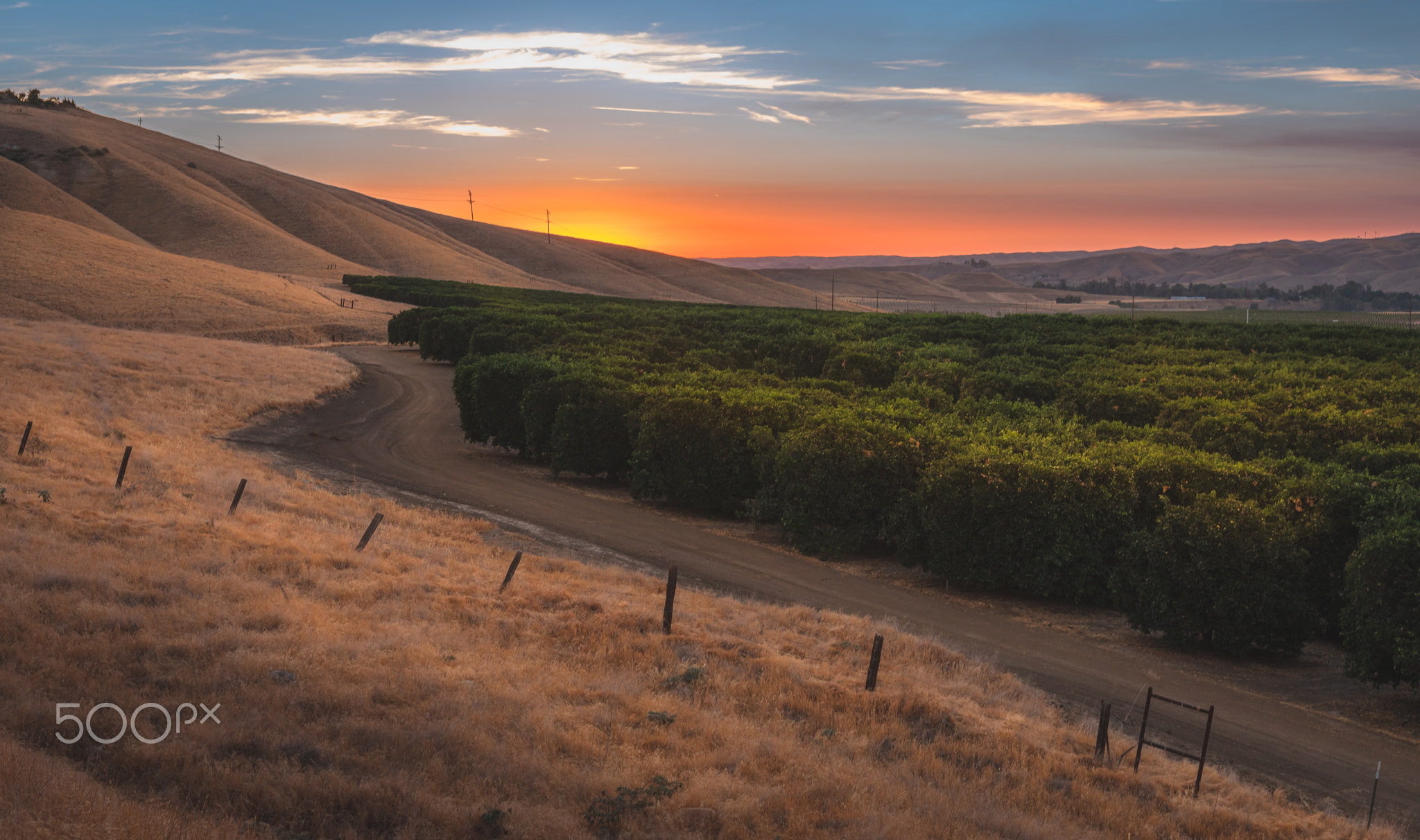 The most magical sunset over the fields