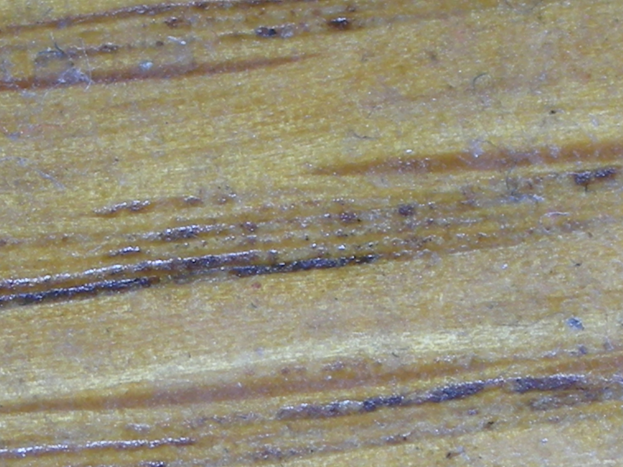 Wooden Nightstand Close up