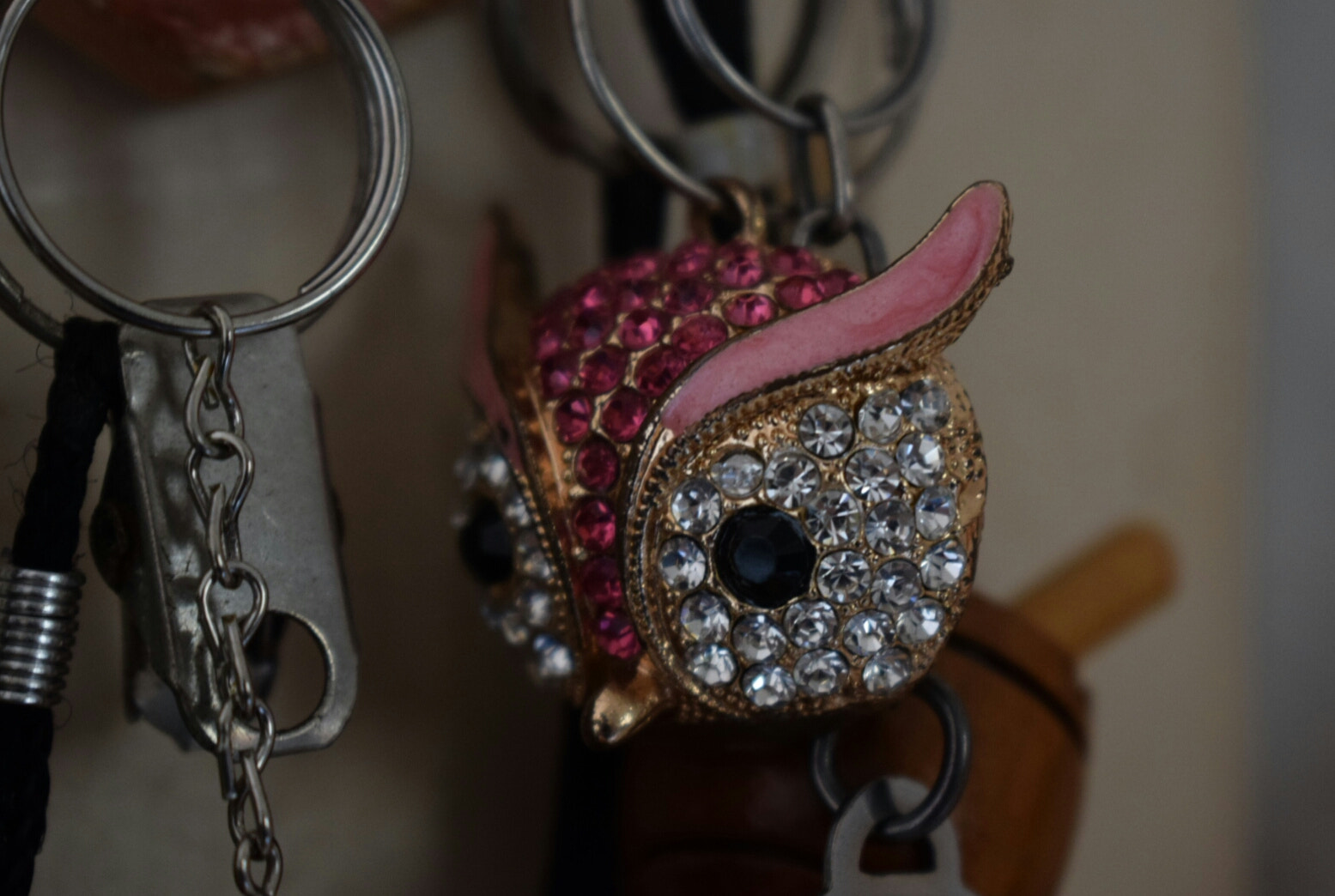 Bright owl