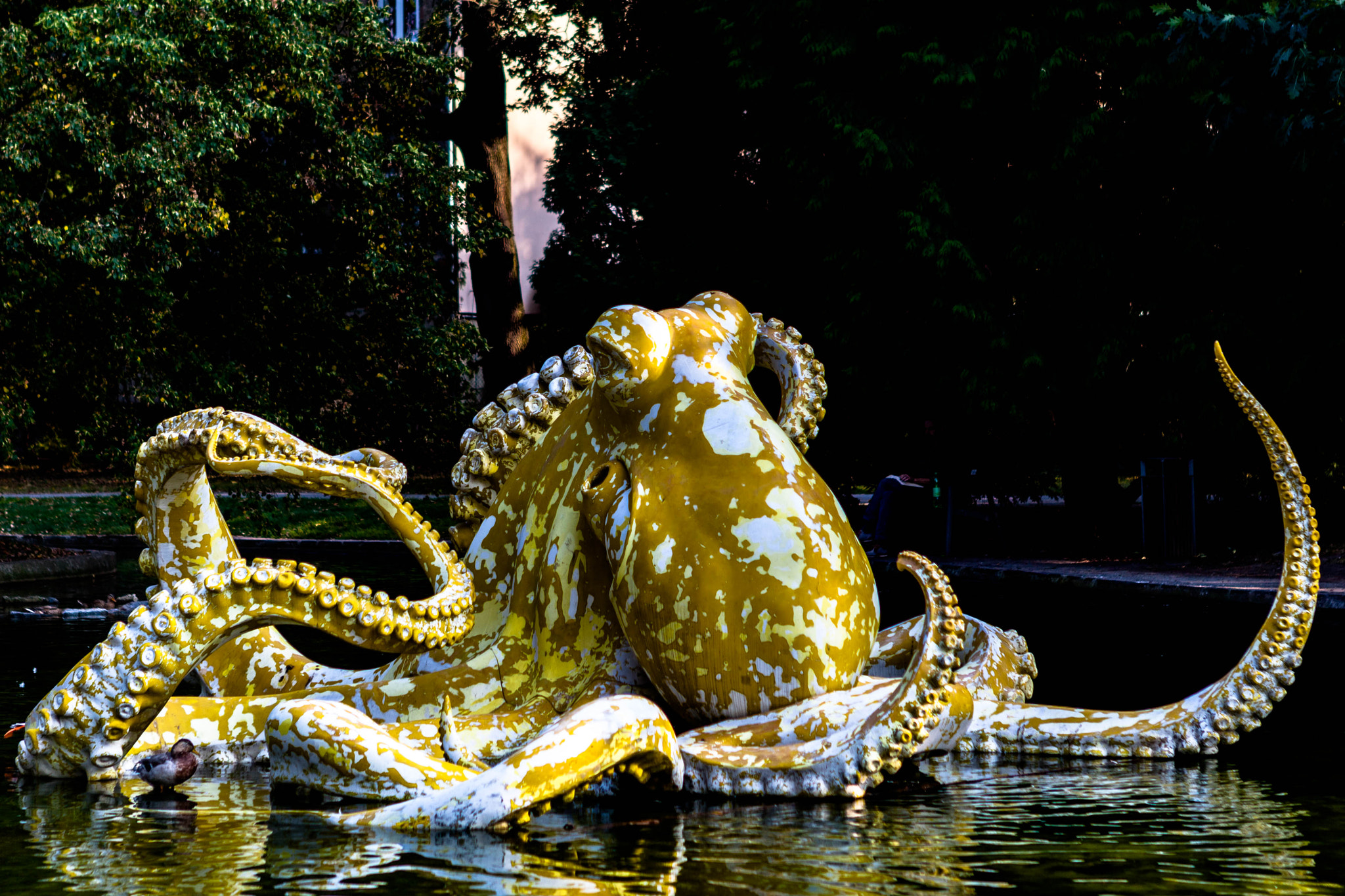 Laminatoctopuso