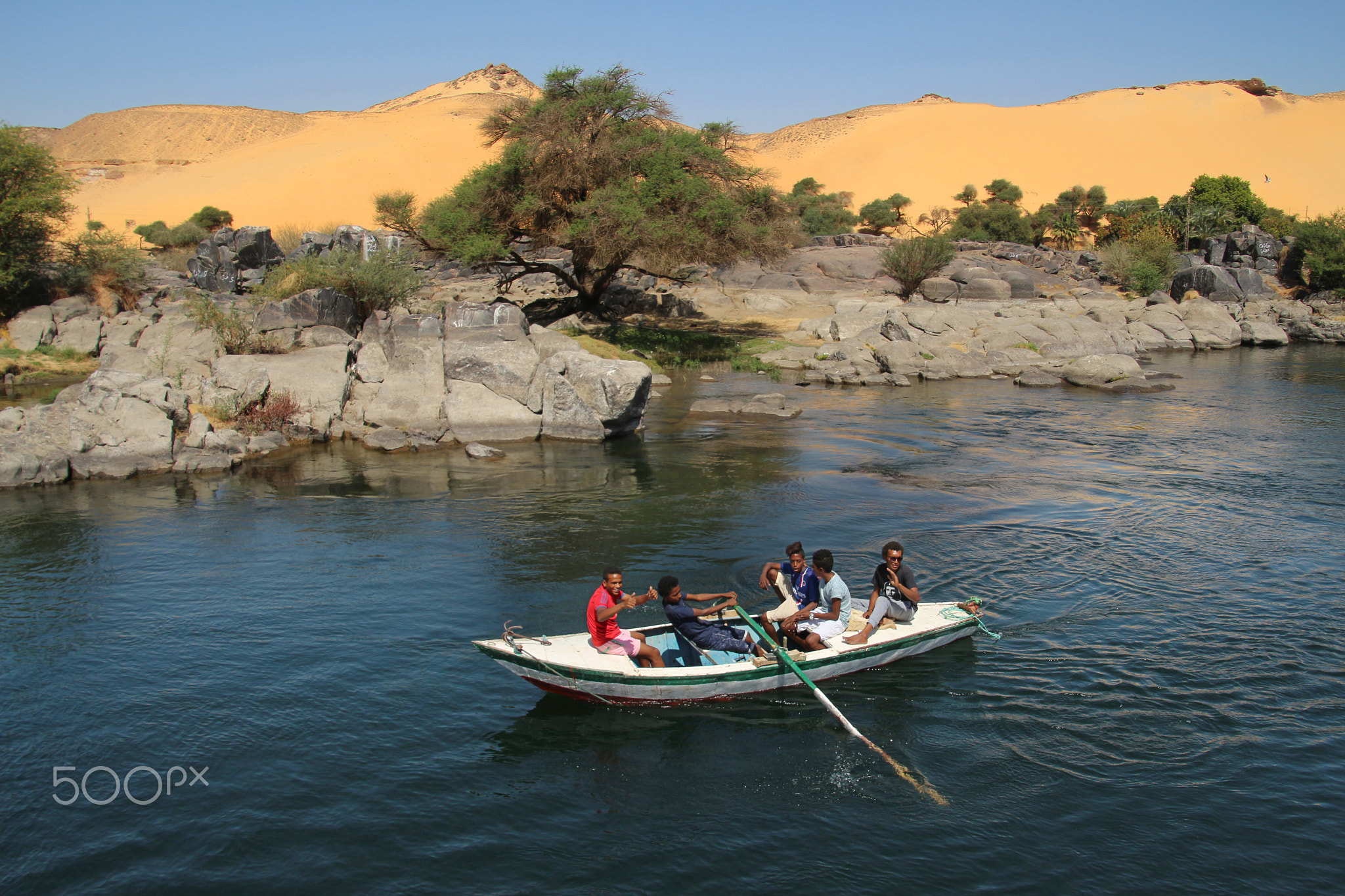 Nile Rowing