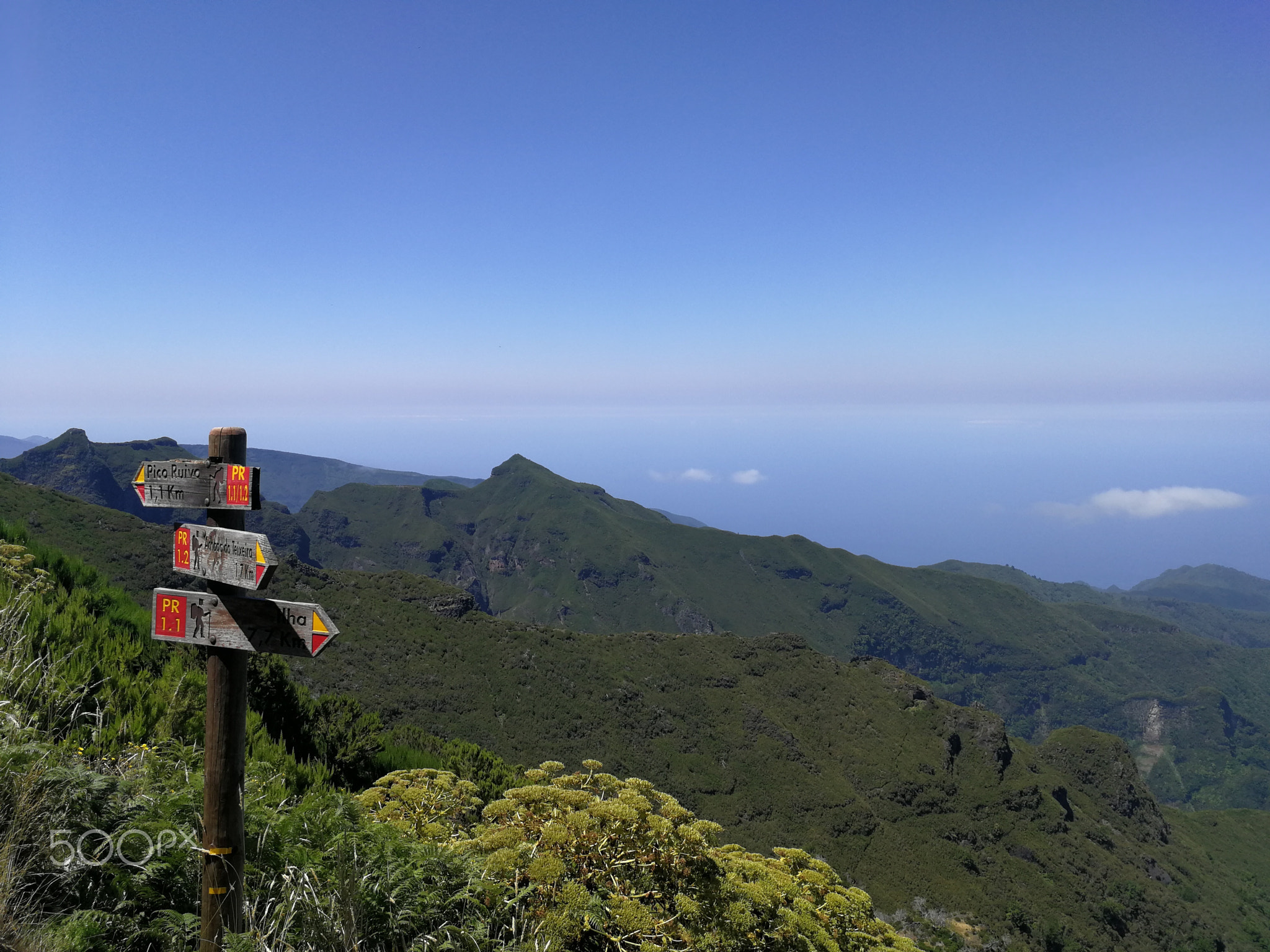 Pico Ruivo Signs