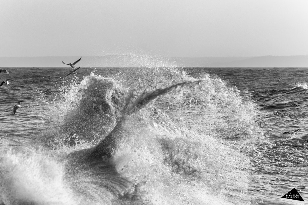 Seagulls, Shapes and Eleanor Storm by Monsieur Choubs on 500px.com