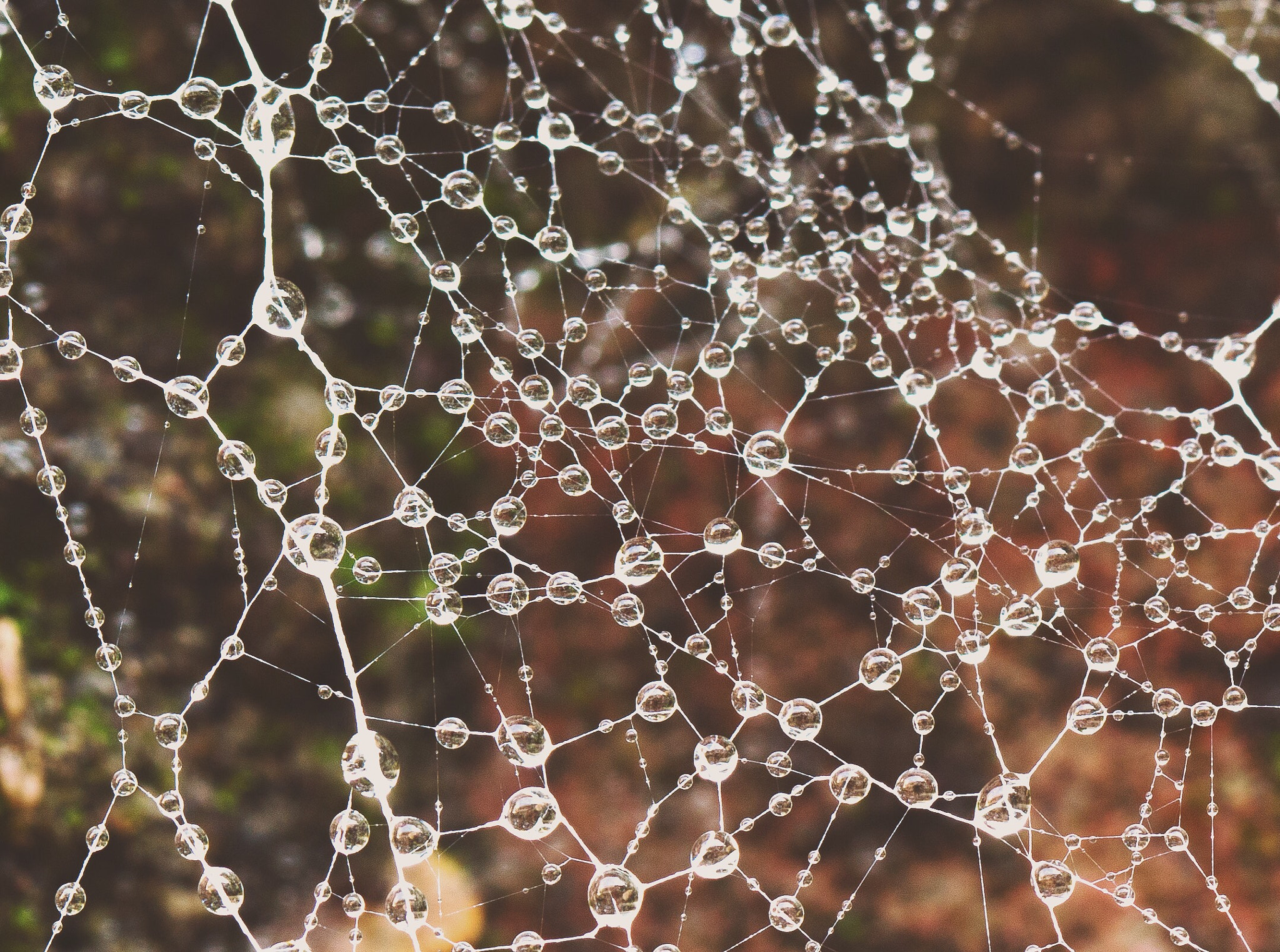 Necklace of drops