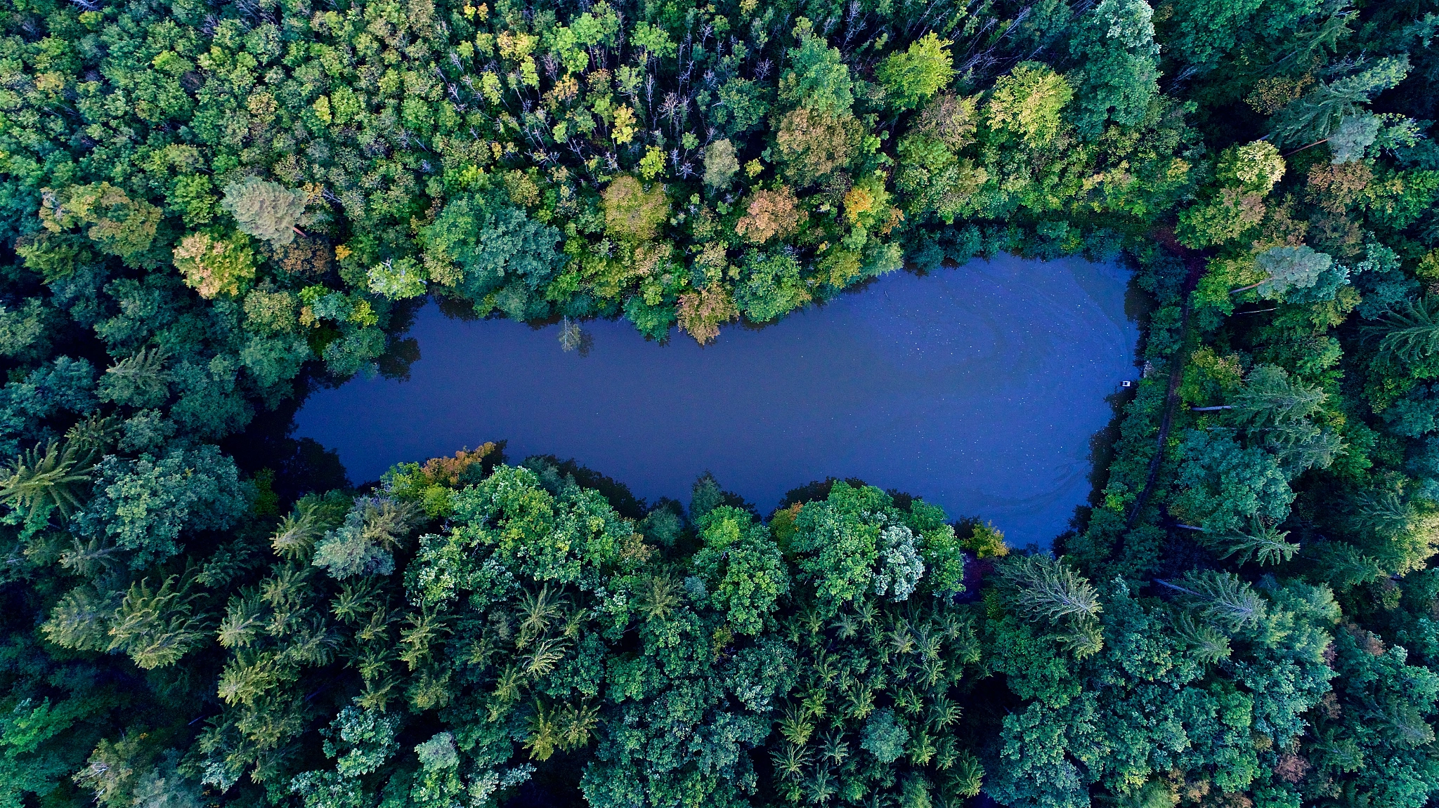 Forest Lake