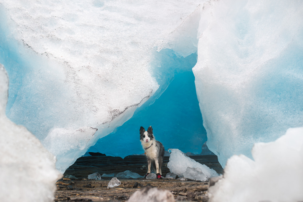 Glacier by Iza ?yso? on 500px.com