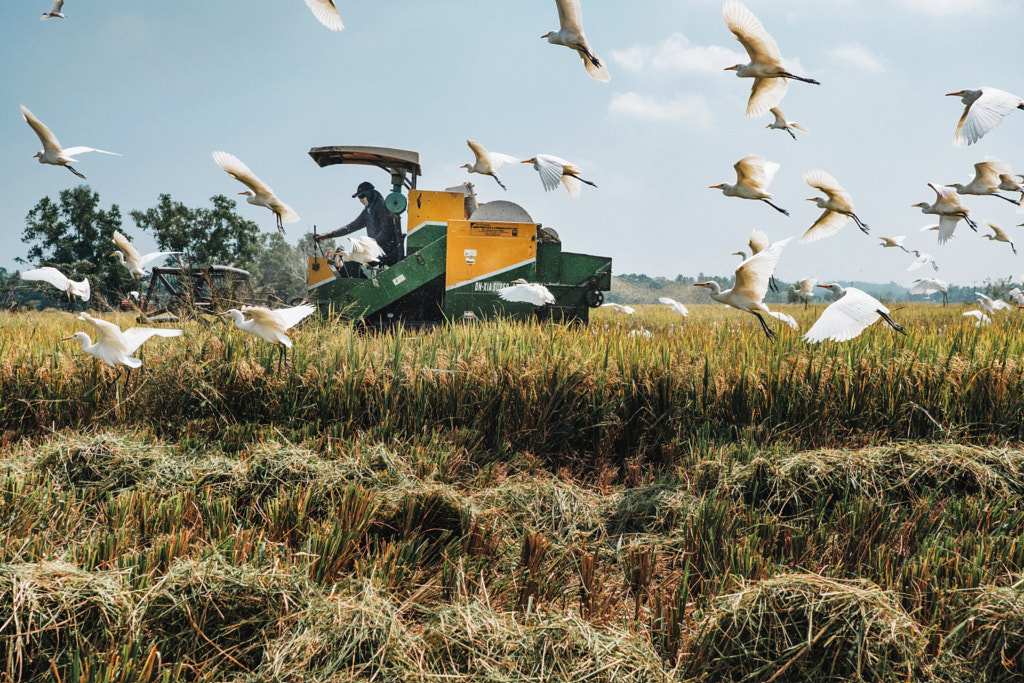 The Harvest by Konstantin Gribov on 500px.com