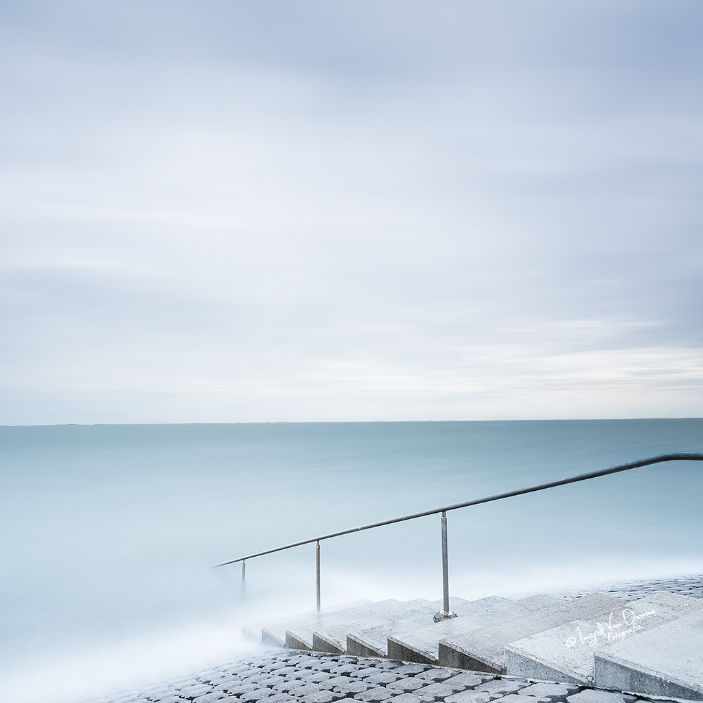 Go in the water by Ingrid Van Damme on 500px.com