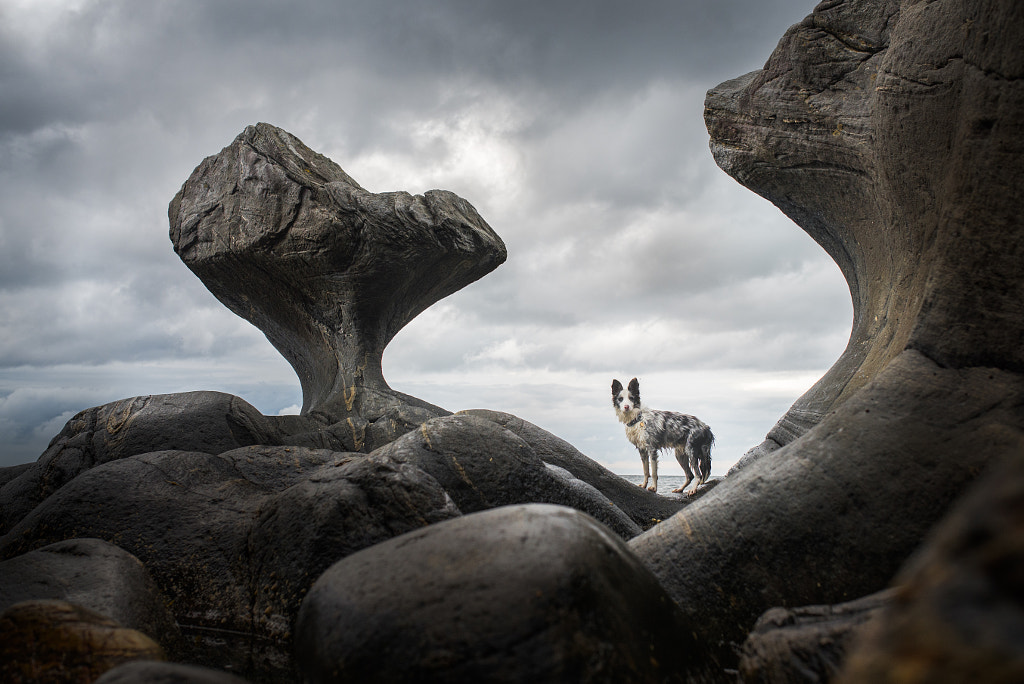 Kannensteinen by Iza Łysoń on 500px.com