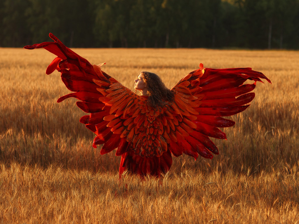 Behind a wind by DEWFRAME on 500px.com