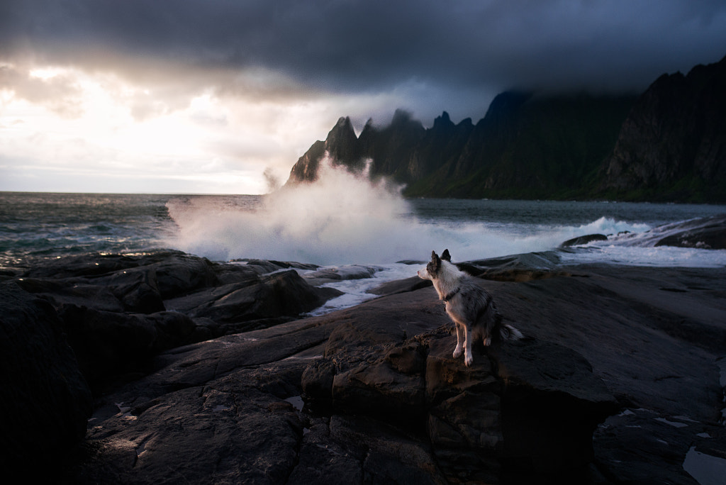 Storm by Iza ?yso? on 500px.com