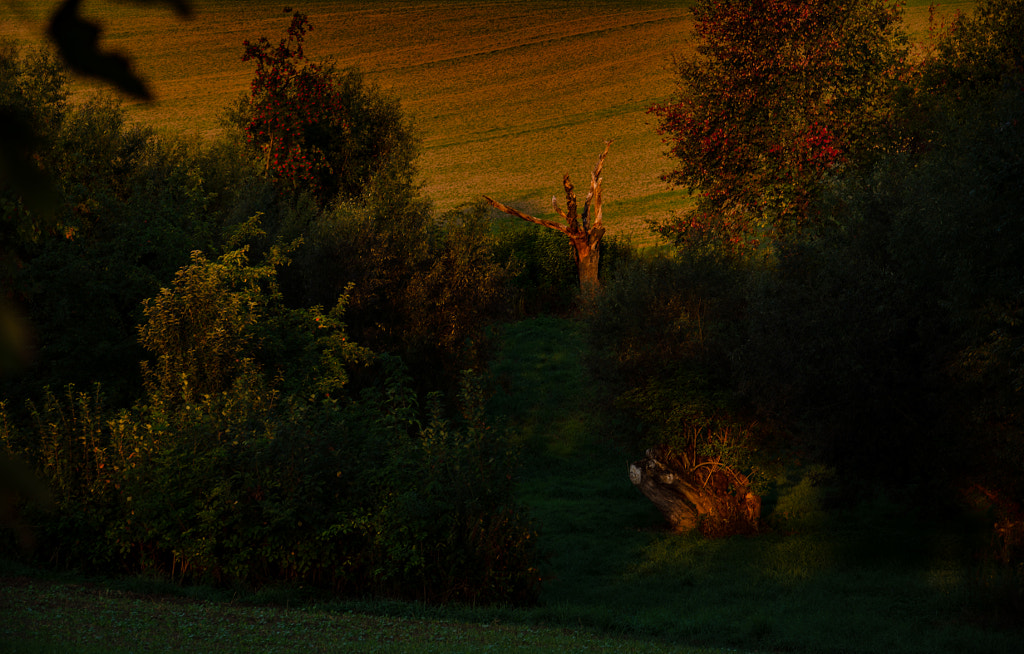 morninglight von dirk derbaum auf 500px.com