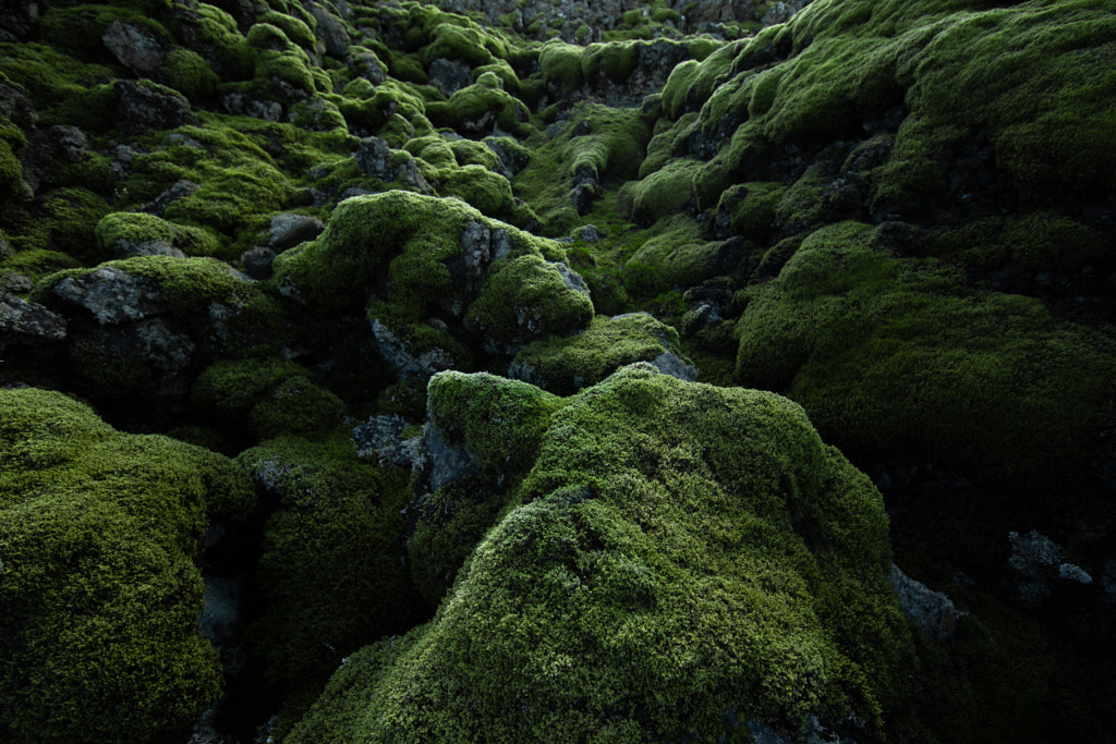 Iceland by Xavier et Kasia Hemery on 500px.com