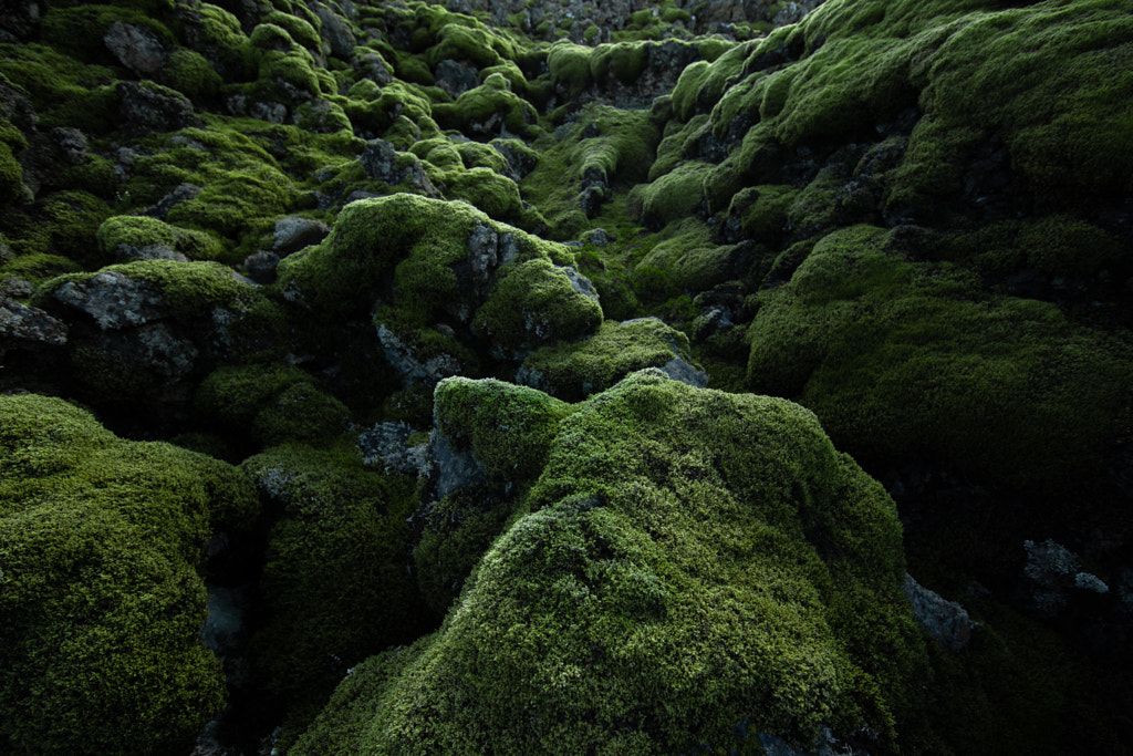 İzlanda, Xavier et Kasia Hemery tarafından 500px.com'da