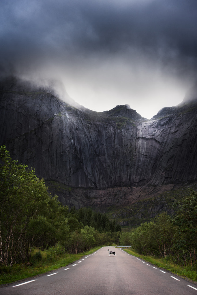 Way to Nusfjord by Iza ?yso? on 500px.com