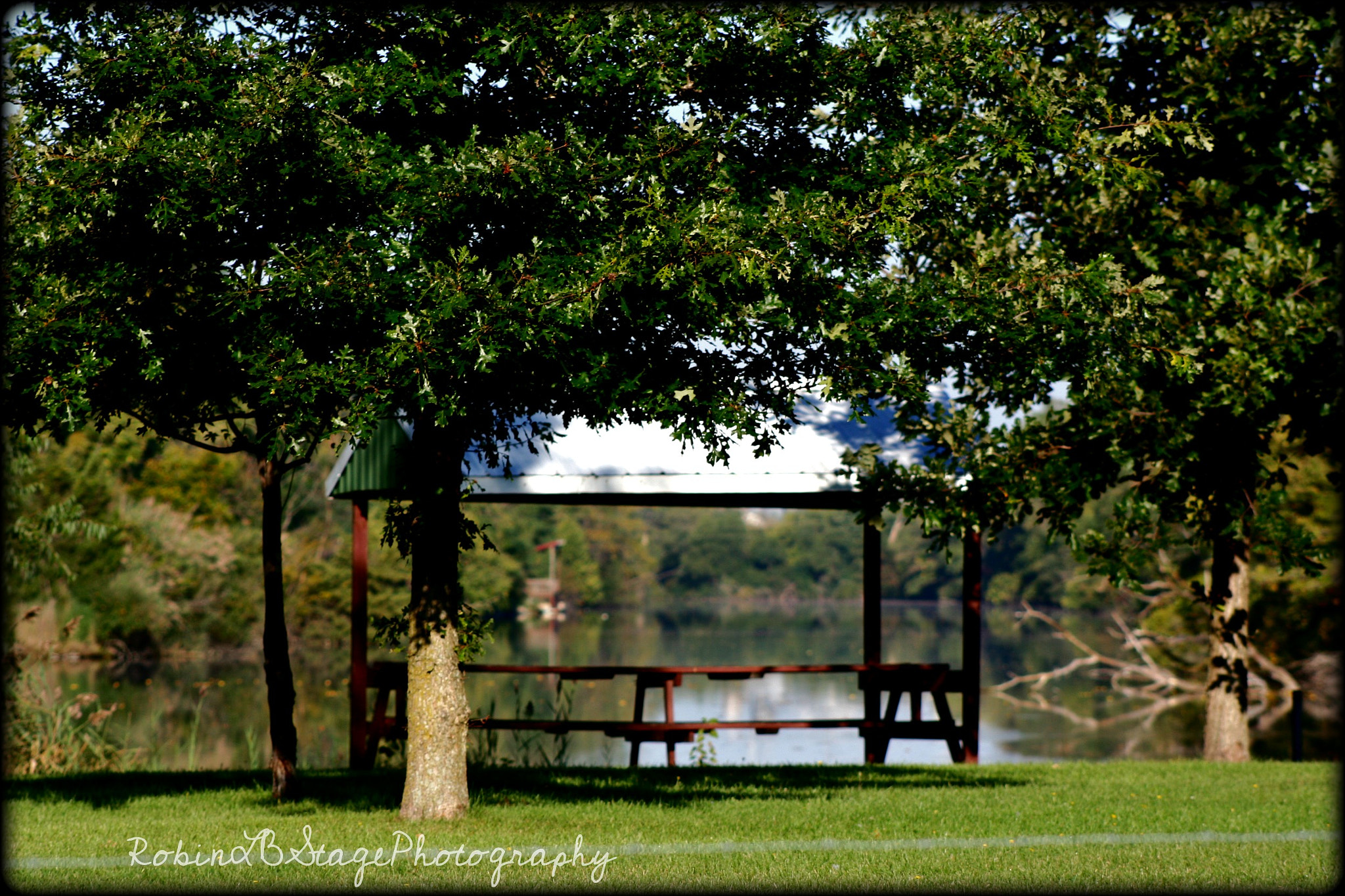 PICNIC TIME!