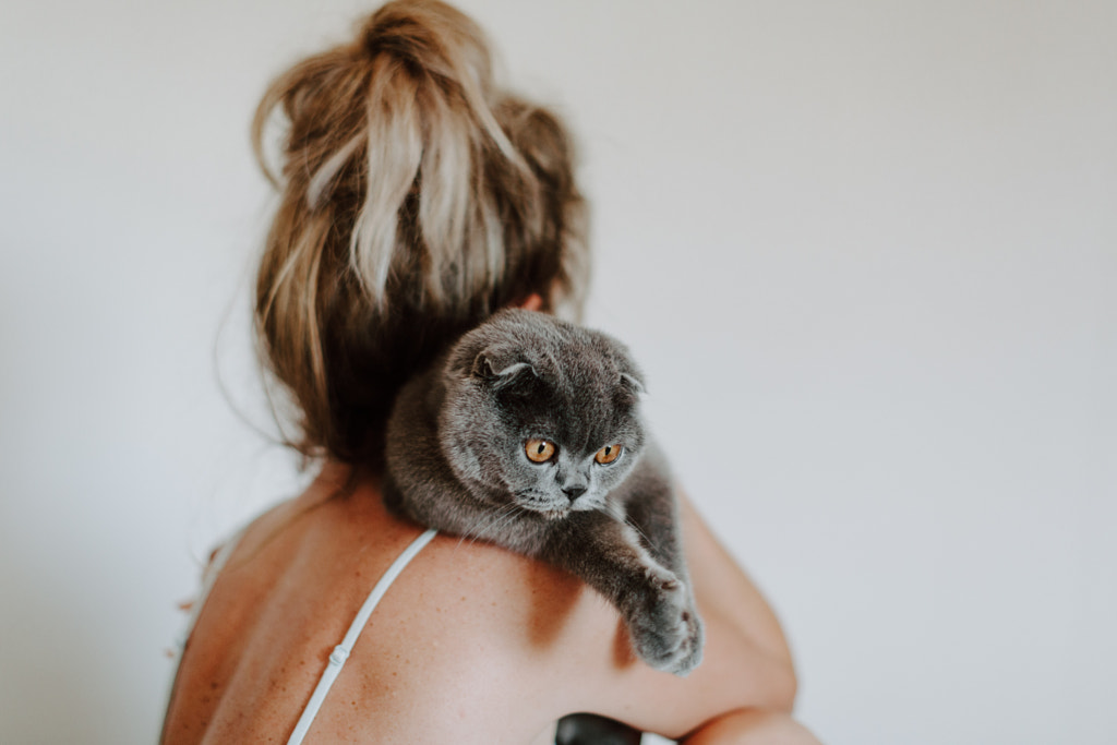 Meow by Victoria Bee on 500px.com