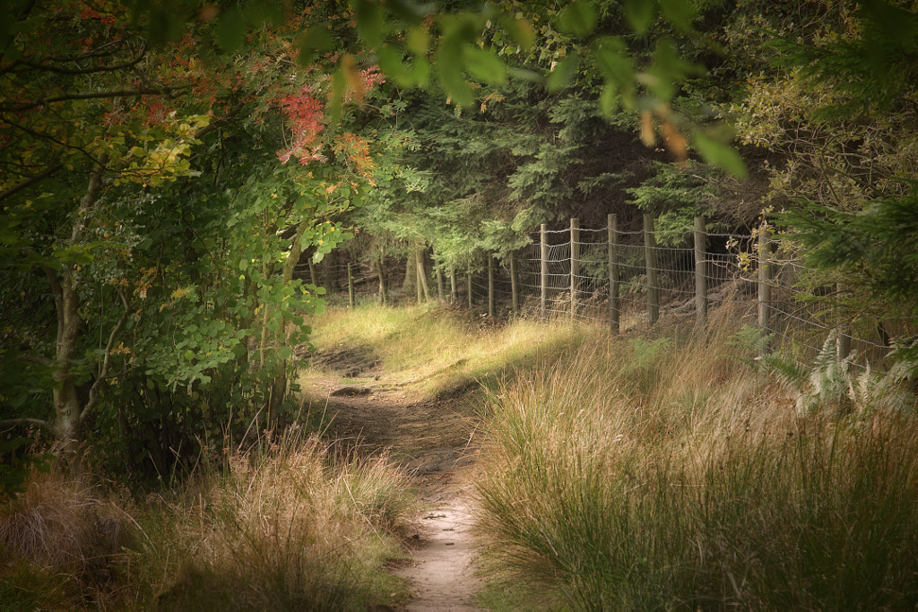 IMAGE: https://drscdn.500px.org/photo/275331031/m%3D900/v2?user_id=531773&webp=true&sig=d7d2b60401ed25ebd6a0c0088de230095c31081ae1cd57521cd807050168ffb4