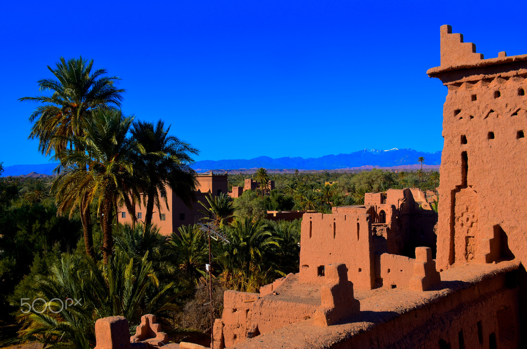 Kasbah Oasis Skoura