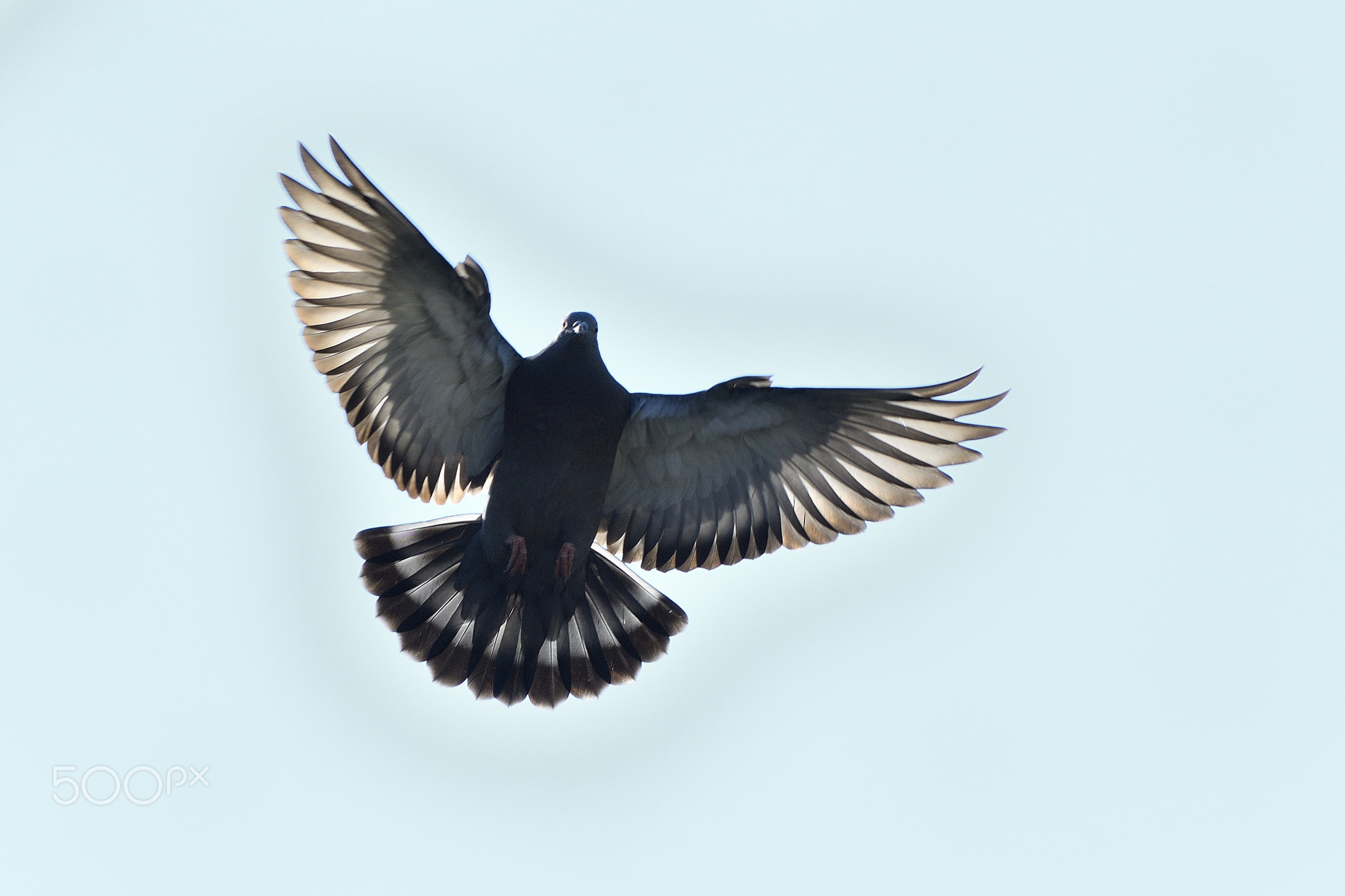 Landing
