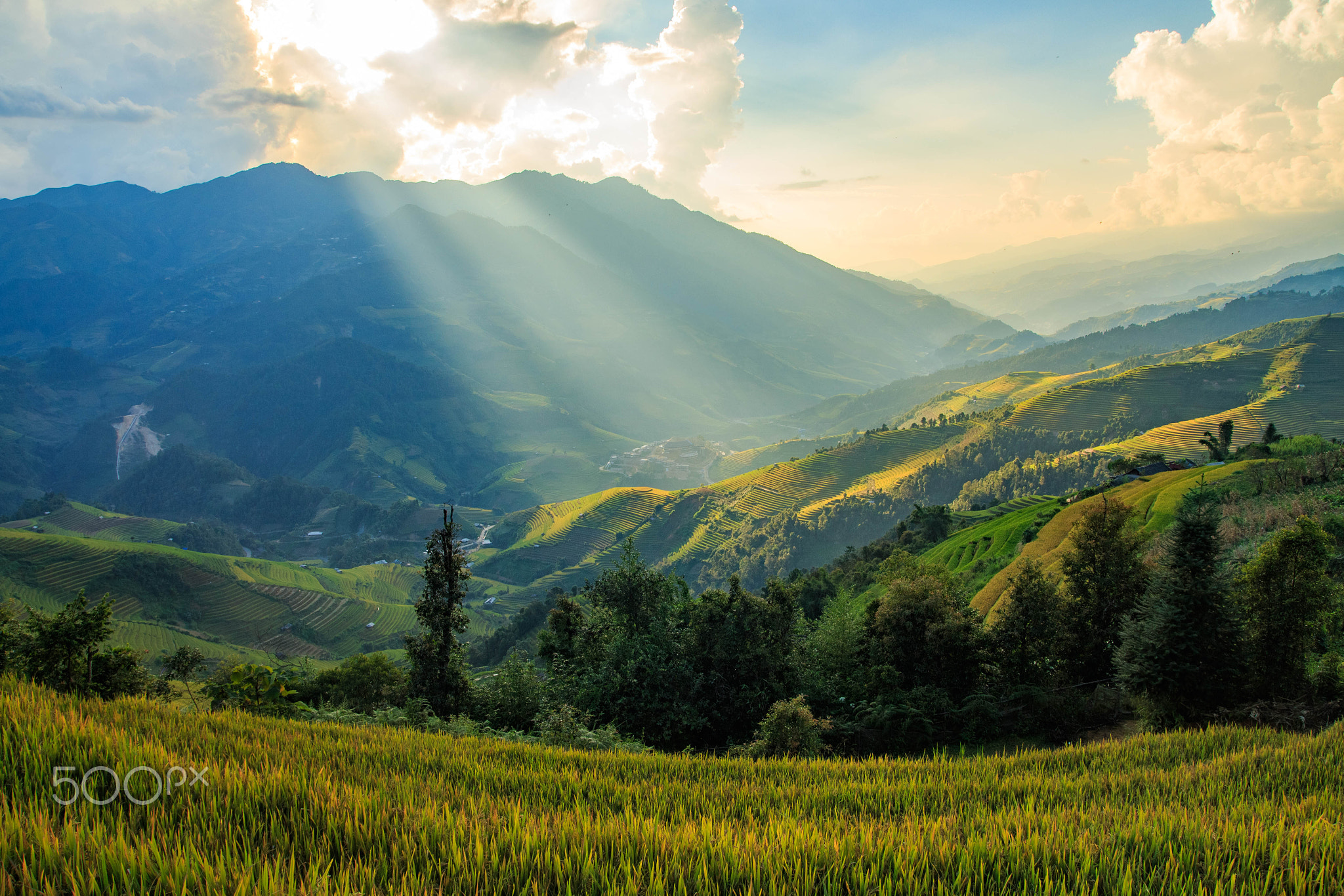 The light on rice terraces
