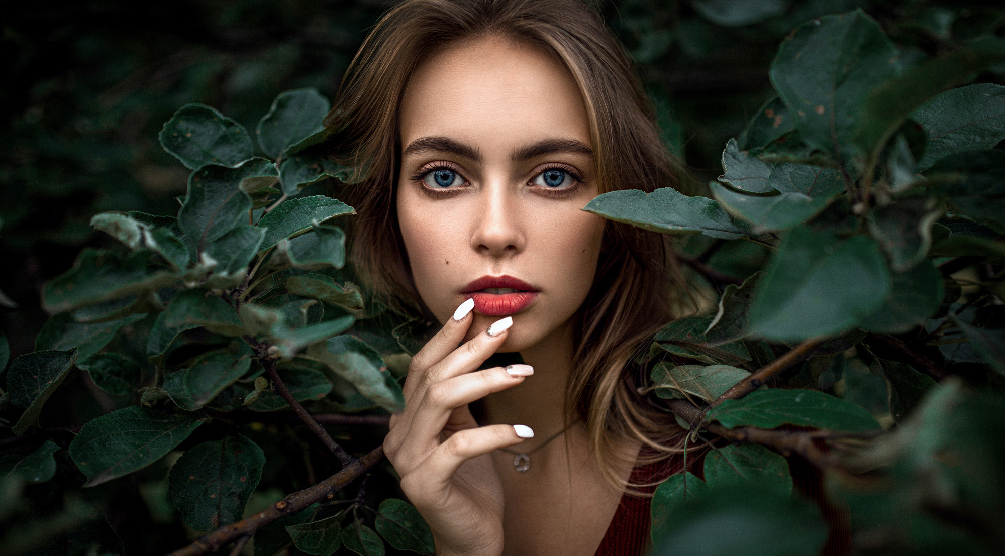 [verlinkte Grafik wurde nicht gefunden]