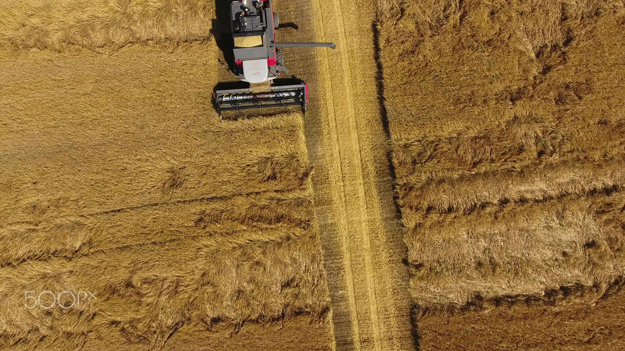 Harvesting barley harvesters. Fields of wheat and barley, the work of agricultural machinery....