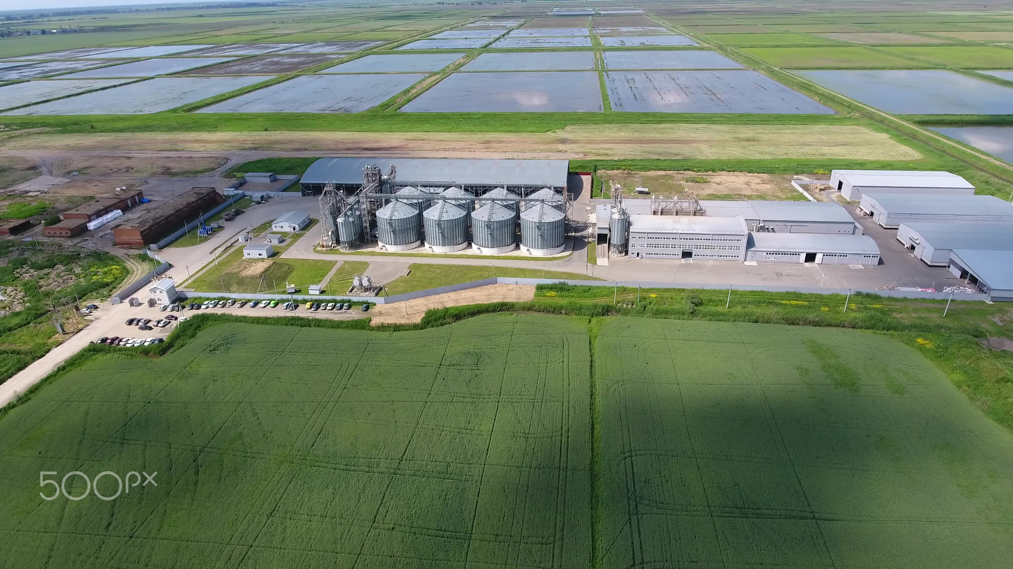 Plant for the drying and storage of grain