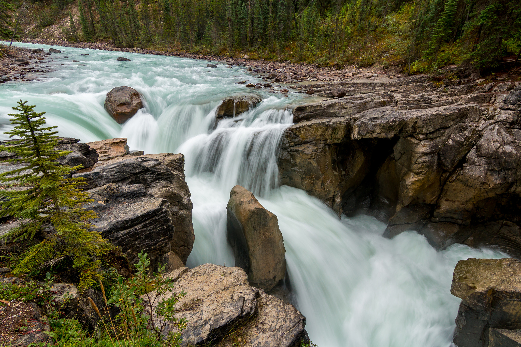 Sunwapta Falls, Alberta, Canada